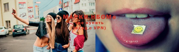 бошки Алексин