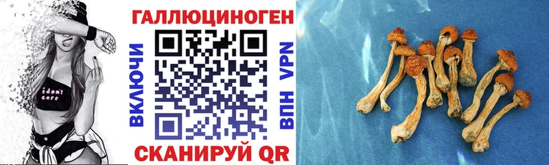 Галлюциногенные грибы мицелий Клинцы